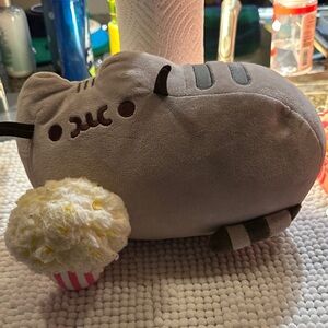 Pusheen plush  with popcorn